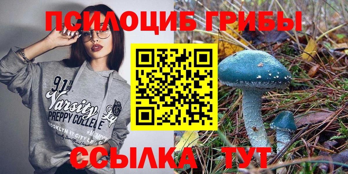 Псилоцибиновые грибы MAGIC MUSHROOMS  Псилоцибиновые грибы Cubensis  Карталы  Вход с VPN 