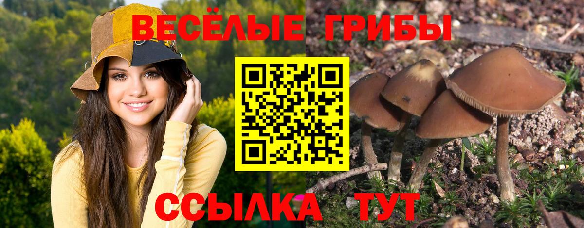 Псилоцибиновые грибы Cubensis  Галлюциногенные грибы ЛСД  купить закладку  Карталы 